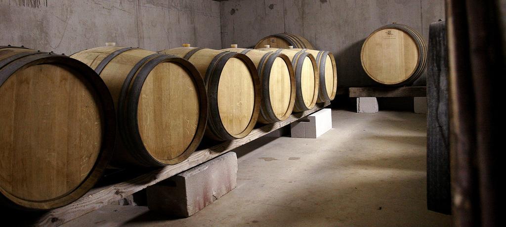 Beaulieu  Domaine De Peyre Brune B&B 외부 사진